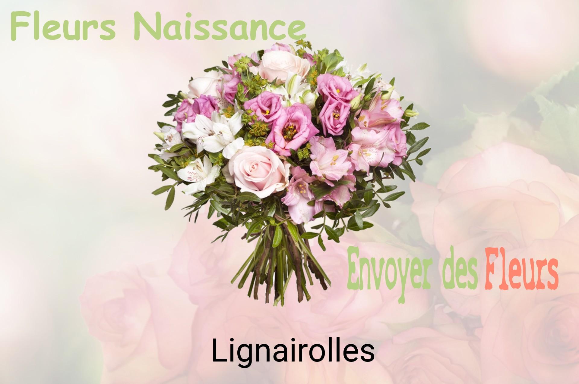 Bouquet de fleurs de naissance livré à Lignairolles
